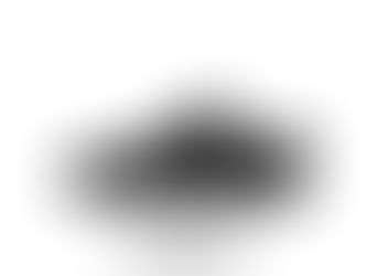 NIKE SB ZOOM JANOSKI OG+