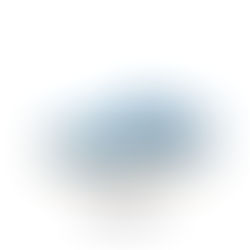 NIKE SB DUNK LOW PRO FJ1674-401