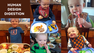Human Design Determination: Discover Your Digestion Type 