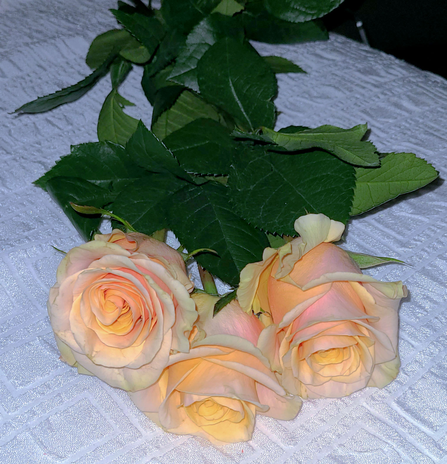 Beautiful Pink Bed Set-up