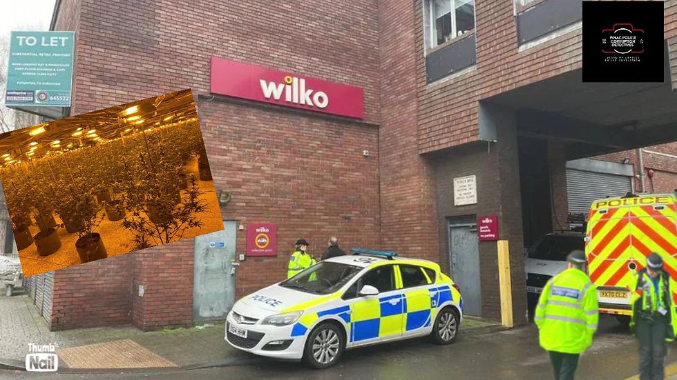 Huge cannabis grow discovered in former Wilko store in Grimsby