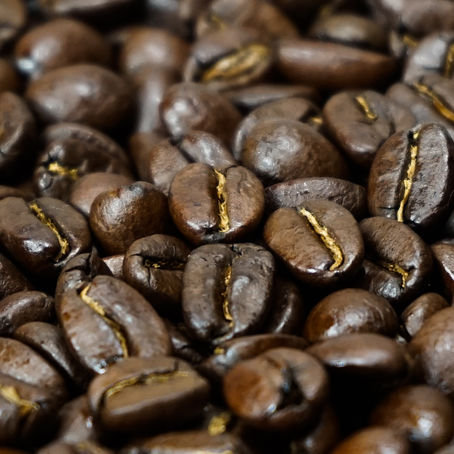 ホームページを開設しました