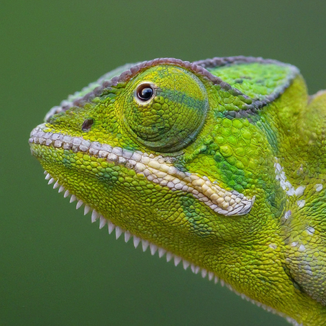 Change Is Inevitable – Are you ready for it?