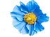 1539564188807 (1).png