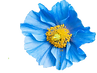 1539564188807 (1).png