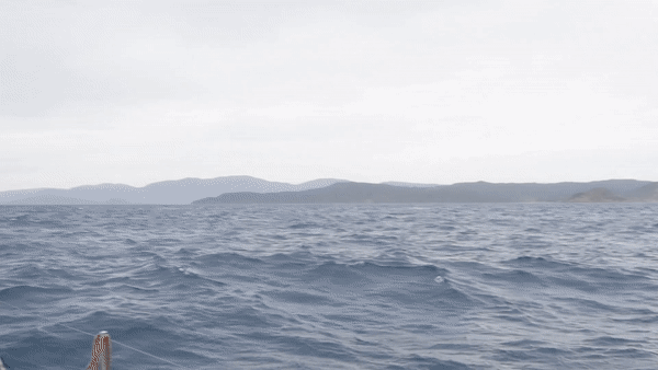 An agitated sea from the point of view of a boat