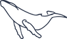 baleine bleue.png