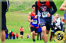 Owego Cross Country Invitational Pheasan