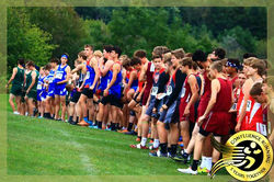 Owego Cross Country Invitational Pheasan