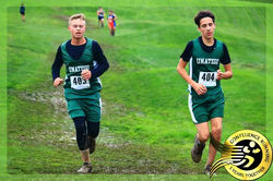 Owego Cross Country Invitational Pheasan