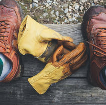 Tree Planting Jobs in BC