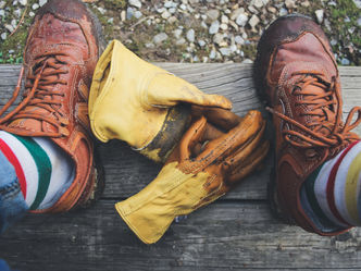 Tree Planting Jobs in BC