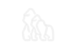Intentions_Gorillas_Grey-01.png