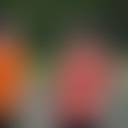 TNL WEEK 6 REPORT (WOMEN'S)