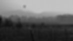 B&W Hot Air Balloon over vineyard.jpg