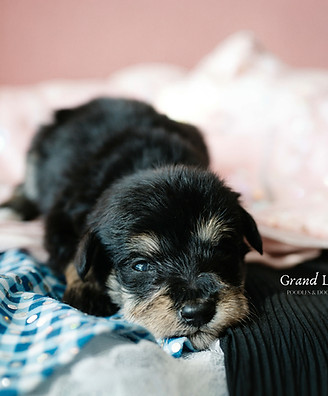 a6093e14-8347-41d9-b565-1d2031a3c294_edi