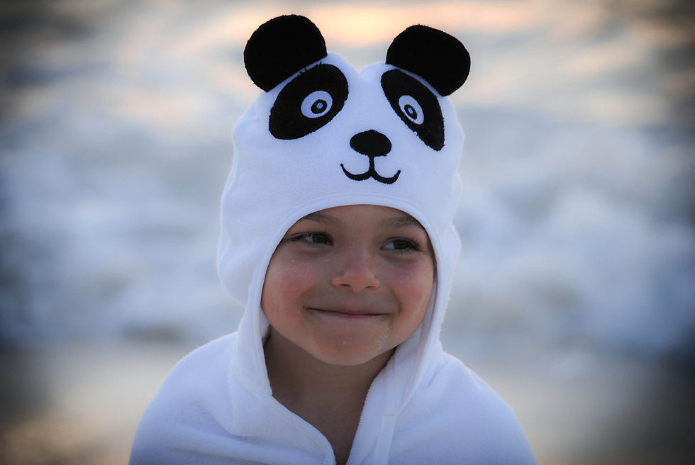 Thumbnail: Panda Hooded Cotton Turkish Towel: Baby