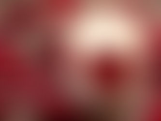 55 Ảnh đẹp về tình yêu ngọt ngào và hạnh phúc