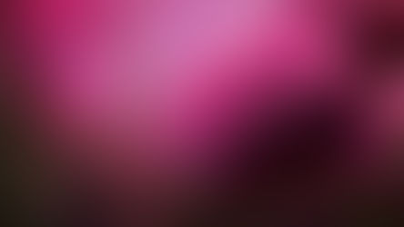 Bộ hình ảnh hoa hồng đẹp tặng người yêu