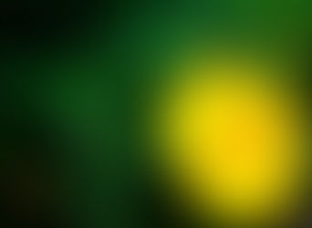 5 Bài  thơ hay về các loài hoa đẹp mê mẩn người yêu hoa