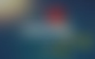 Status về hoa hồng đẹp hay và ý nghĩa