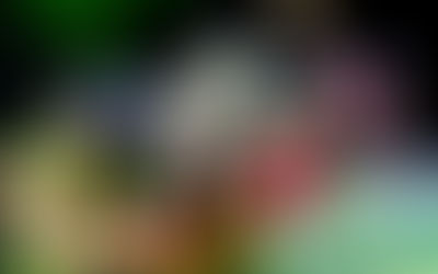 Ngắm hình ảnh lẵng hoa đẹp tặng bạn bè