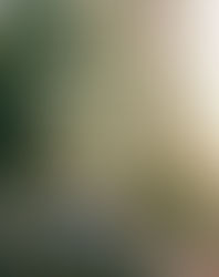 Những lời hay ý đẹp truyền cảm hứng trong cuộc sống