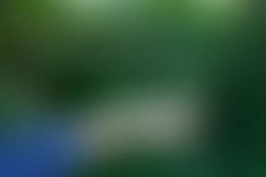 Bộ hình ảnh tình yêu buồn chia tay người yêu