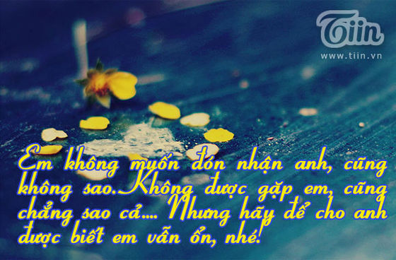 Tổng Hợp Stt Sến Dùng Để "Cua Gái" Vô Cùng Sướng Tai