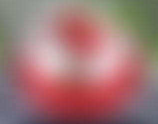 Tổng hợp 60 lời chúc sinh nhật ý nghĩa cho chồng