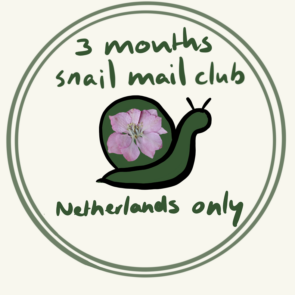 dodsicle's Snail Mail Club - 3 months (Netherlands only)