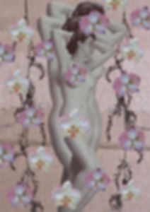 Orquidea - Nature Morte