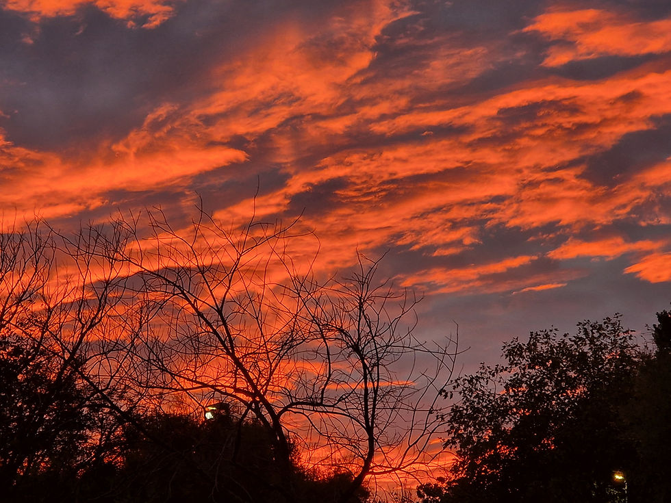 Actie bij onze overheid m.b.t. papieren schenkingen.