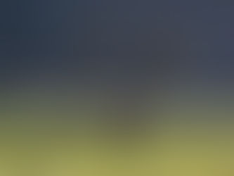 Rapport: heroverweeg schenkingsvrijstelling kinderen