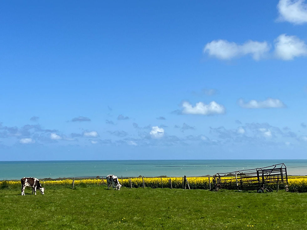 Rondom de oudedag van de IB- ondernemer en DGA.