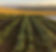 File_000_edited.jpg