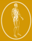 Picture3o.png