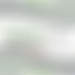 Breaking Barriers: Understanding and Supporting Agender Identity