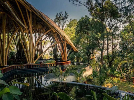 The Leela Coorg Forest Sanctuary: onde a floresta dita o ritmo