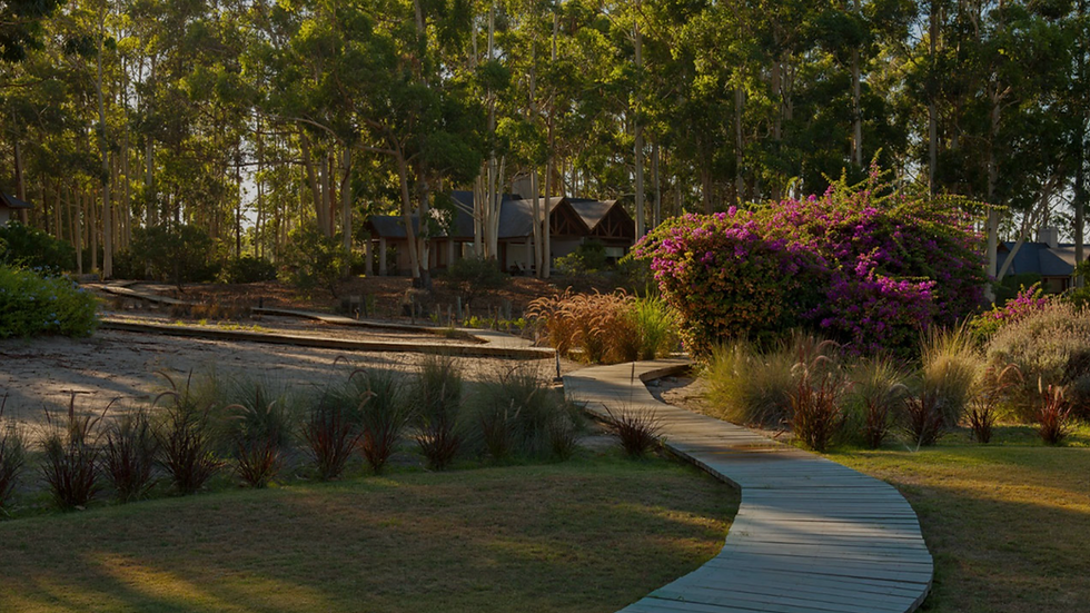 Jardins do Carmelo Resort & Spa, em Carmelo, no Uruguai, com caminho entre áreas verdes e paisagismo do hotel.