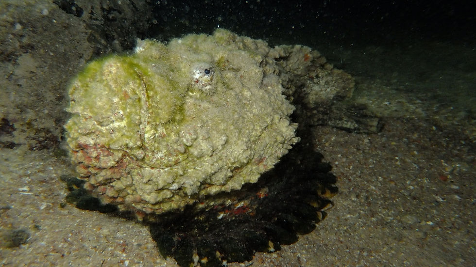 DSCF4181.jpg