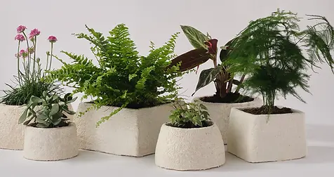 planters.webp