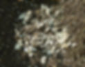 _DSC00366_resize.jpg