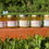 Miniature : pot de miels 50 g