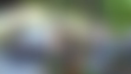 FLAI 2025 – 12ª edição da Feira Literária e de Aventura 2025 reforça integração cultural e marca nova parceria regional de Ilhabela