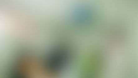 PAT de Ilhabela divulga 141 novas vagas de emprego com salários de até R$ 3 mil e oportunidades para diversos níveis de escolaridade