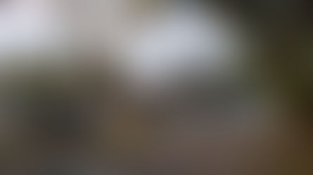 Ilhabela promove caminhada do Novembro Azul com foco em prevenção e bem-estar nesta sexta (14)