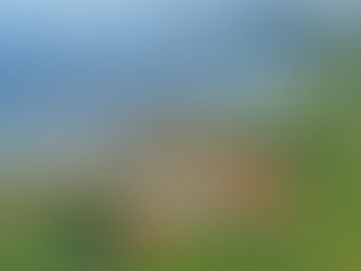 Toninho Colucci entrega uma das escolas mais bonitas e estruturadas do Brasil na Praia de Castelhanos