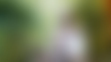 Prefeitura de Ilhabela regulariza “Feira do Artesão” ao redor do Centro Cultural da Vila