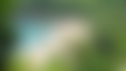 Ilhabela oferece passeios gratuitos durante a 52ª Semana Internacional de Vela